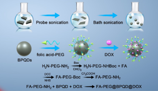FA-PEG@BPQD@DOX FA-PEG@BPQD@DOX