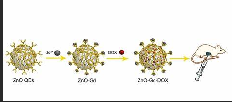 Gd@ZnO量子點(diǎn)表面修飾阿霉素 Gd@ZnO量子點(diǎn)表面修飾阿霉素
