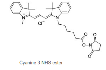 Cy3 NHS ester，cas:146368-16-3，Cy3-琥珀酰亞胺/活化酯