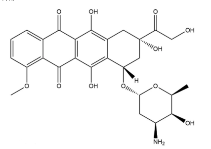 阿霉素 阿霉素