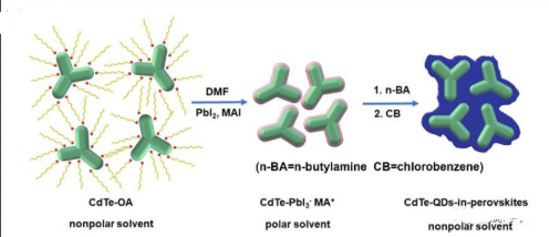 碲化鎘量子點負(fù)載柔紅霉素/藤黃酸 碲化鎘量子點負(fù)載柔紅霉素/藤黃酸
