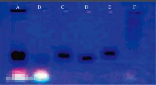 葡萄糖-碳量子點-順鉑復(fù)合物 葡萄糖-碳量子點-順鉑復(fù)合物