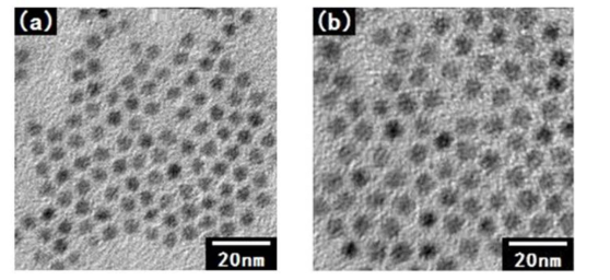 PbSe硒化鉛量子點(diǎn)偶聯(lián)紫杉醇PTX