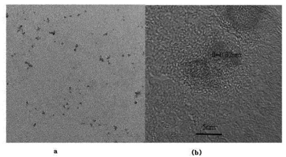 蛋白質(zhì)核糖核酸酶修飾的碲化鋅量子點 蛋白質(zhì)核糖核酸酶修飾的碲化鋅量子點
