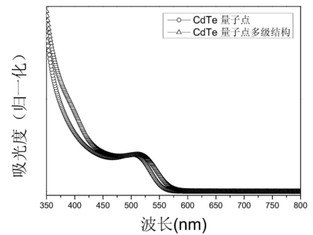 CLV3十二肽修飾CdTe量子點 CLV3十二肽修飾CdTe量子點