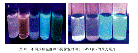 CdS/Au/anti-AFP CdS/Au/anti-AFP