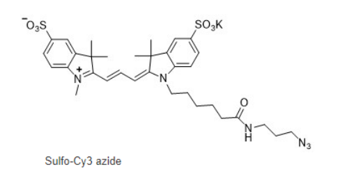 Sulfo-Cy3 Azide 水溶性CY3疊氮 水溶Cy3-N3