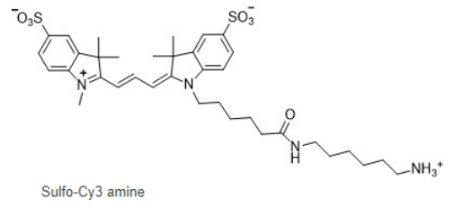 Sulfo-Cyanine3 amine，cas:2183440-43-7，水溶性CY3氨基