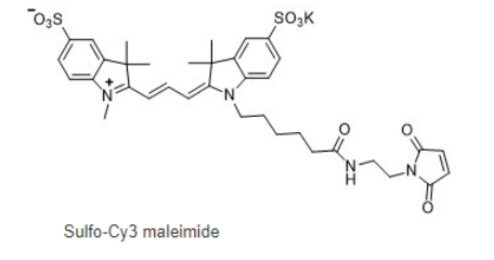 Sulfo-Cyanine3 maleimide Sulfo-Cyanine3 maleimide