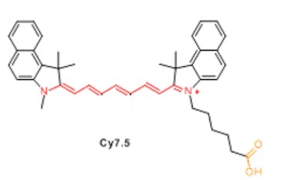 海藻酸鈉-菁染料CY7.5 海藻酸鈉-菁染料CY7.5