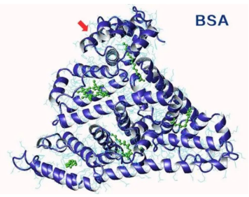 海藻酸鈉-牛血清白蛋白 海藻酸鈉-牛血清白蛋白