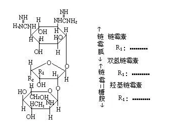 海藻酸鈉-鏈霉親和素 海藻酸鈉-鏈霉親和素