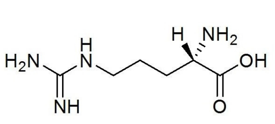 海藻酸鈉-聚乙二醇-聚精氨酸 海藻酸鈉-聚乙二醇-聚精氨酸