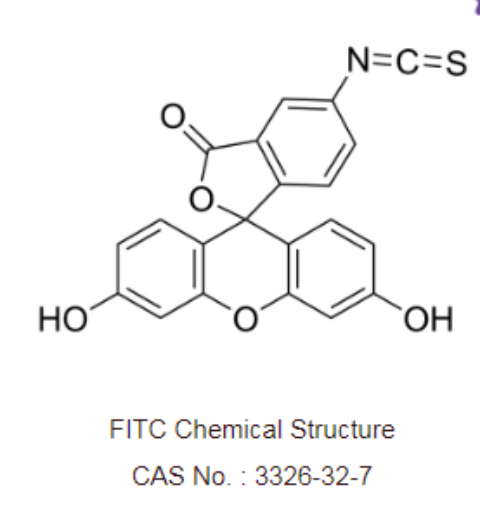 殼聚糖-異硫氰基熒光素 殼聚糖-異硫氰基熒光素