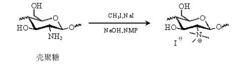 殼聚糖-七甲川染料CY7 殼聚糖-七甲川染料CY7