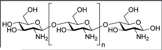 Chitosan-DOPE Chitosan-DOPE