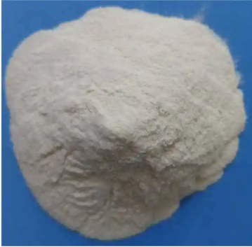 殼聚糖-麥胚凝集素 殼聚糖-麥胚凝集素