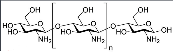 殼聚糖-卵清蛋白 殼聚糖-卵清蛋白