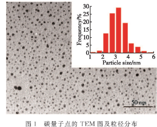 碳量子點(diǎn)修飾鐵酸鑭/凹凸棒納米復(fù)合材料 碳量子點(diǎn)修飾鐵酸鑭/凹凸棒納米復(fù)合材料