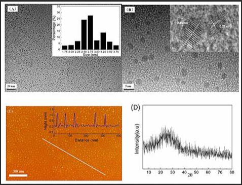 石墨烯量子點(diǎn)(GQDs)修飾TiO2納米線 石墨烯量子點(diǎn)(GQDs)修飾TiO2納米線