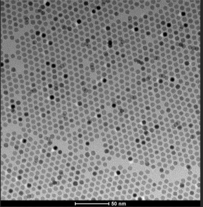 近紅外PbS量子點(diǎn)(QDs)修飾ZnO納米片復(fù)合膜 近紅外PbS量子點(diǎn)(QDs)修飾ZnO納米片復(fù)合膜