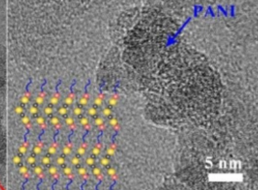 原位摻雜Mn、Co 單/少層膠體溶液Mxene Ti3C2