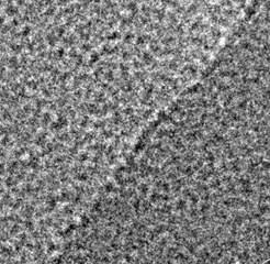 單層Ti2C 單層Ti2C