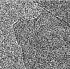 Ti3C2 水溶液 Ti3C2 水溶液