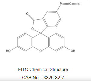 甘露糖-異硫氰基熒光素 甘露糖-異硫氰基熒光素