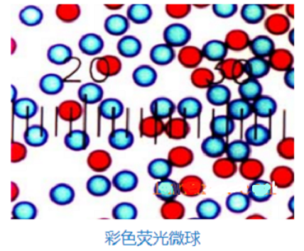 彩色乳膠微球 彩色乳膠微球
