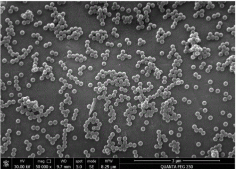 羧基修飾青色乳膠微球
