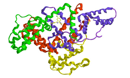 半乳糖-人血清白蛋白 半乳糖-人血清白蛋白
