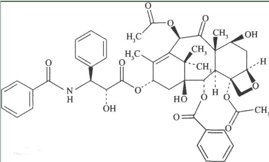 半乳糖-聚乙二醇-紫杉醇 半乳糖-聚乙二醇-紫杉醇