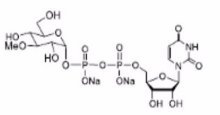 UDP-3-methyl-GluCose.2Na UDP-3-methyl-GluCose.2Na