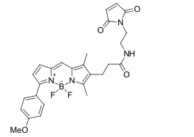 BDP TMR maleimide,cas 2183473-34-7