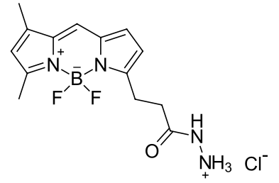 BDP FL hydrazide,cas2183473-45-0