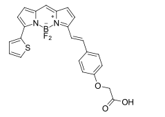 BDP 630/650 carboxylic acid