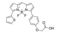 BDP TR carboxylic acid,cas 150152-64-0