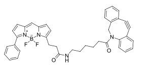 BDP R6G DBCO，BDP R6G染料修飾二苯并環(huán)辛炔