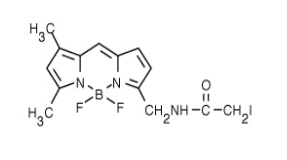 BODIPY FL 碘乙酰胺（BODIPY FL C1-IA，N-(4,4-二氟-5,7-二甲基-4-硼雜-3a,4a-