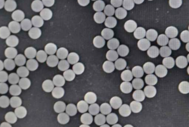 化學(xué)發(fā)光磁性微球 化學(xué)發(fā)光磁性微球