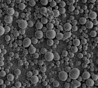 Protein A 蛋白A修飾磁性微球 Protein A 蛋白A修飾磁性微球