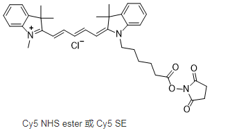 CY5-NHS ester 花菁染料CY5標(biāo)記N-羥基琥珀酰亞胺