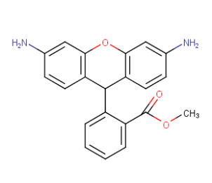 cas：109244-58-8，二氫若丹明123,DHR 123