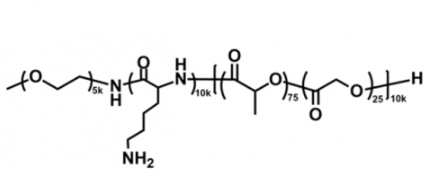 甲氧基聚乙二醇-聚賴氨酸-聚（D，L-丙交酯-co-乙交酯）共聚物 mPEG-PLL-PLGA