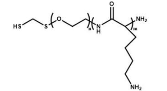 巰基聚乙二醇聚賴氨酸 HS-PEG-PLL