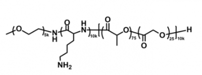 甲氧基聚乙二醇-聚賴氨酸-聚（D，L-丙交酯-co-乙交酯）共聚物 mPEG-PLL-PLGA