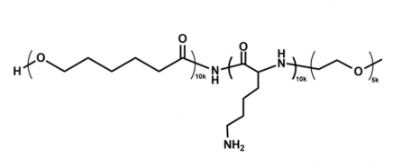 甲氧基聚乙二醇-聚賴氨酸-聚己內(nèi)酯 mPEG-PLL-PCL