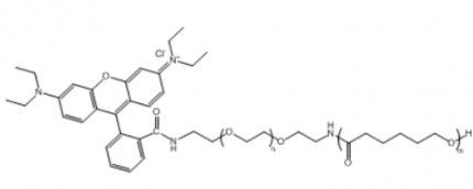 聚己內(nèi)酯聚乙二醇羅丹明 PCL-PEG-RB