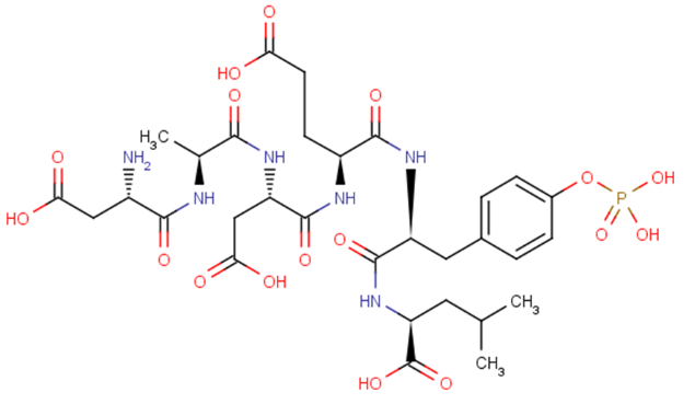 [pTyr5] EGFR (988-993)